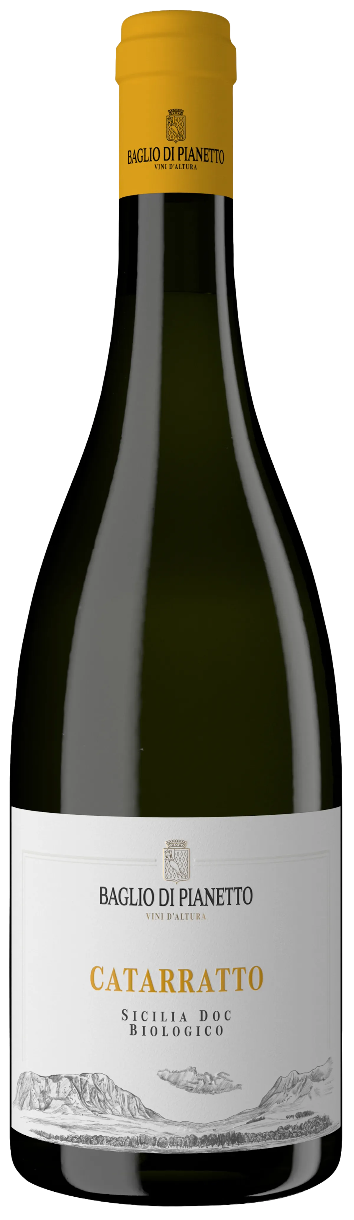 Catarratto