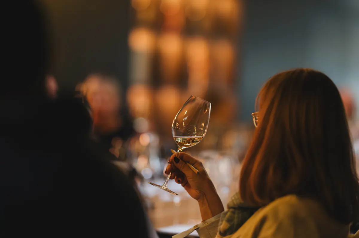 Endlich Wein verstehen